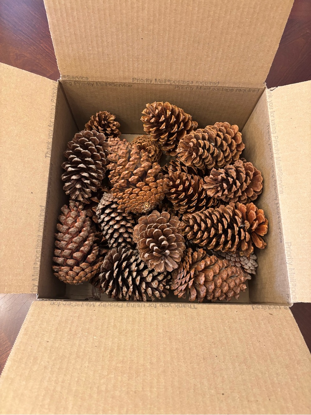 Assorted Natural Pine Cones Brown 25count